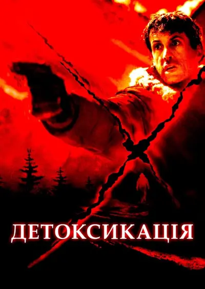 Детоксикація (2002) - постер фільму
