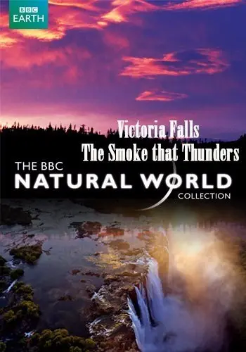 Водоспад Вікторія (2009) - постер фільму