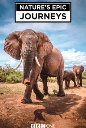 Найбільші в світі міграції / Найбільші міграції в природі (2016) - дивитись онлайн