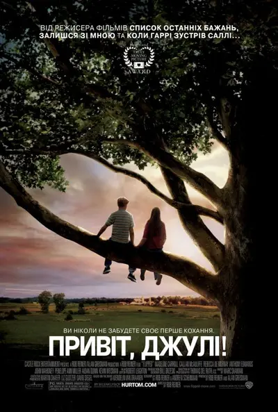 Привіт, Джулі! (2010) - постер фільму