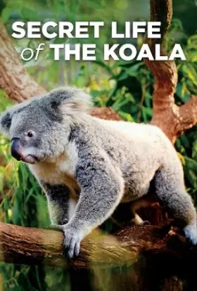 Коала, таємне життя (2016) - постер серіалу