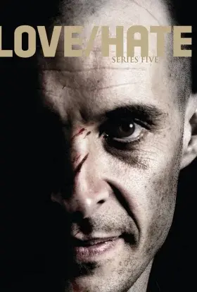 Любов/Ненависть (2014) - постер серіалу