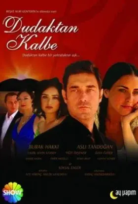 Симфонія кохання (2007) - постер серіалу