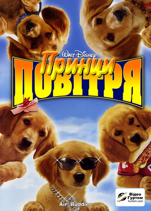 Принци повітря
