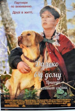 Уроки виживання / Далеко від дому. Пригоди жовтого собаки