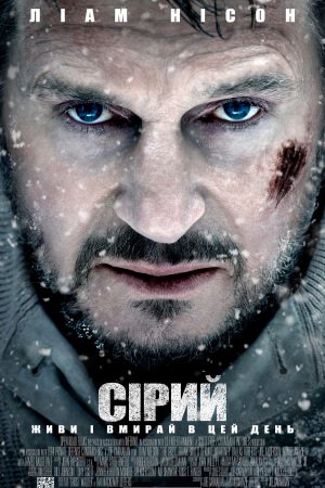 Сірий / Сутичка