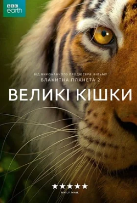 Великі кішки