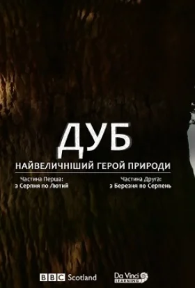 Дуб. Найвеличніший герой природи